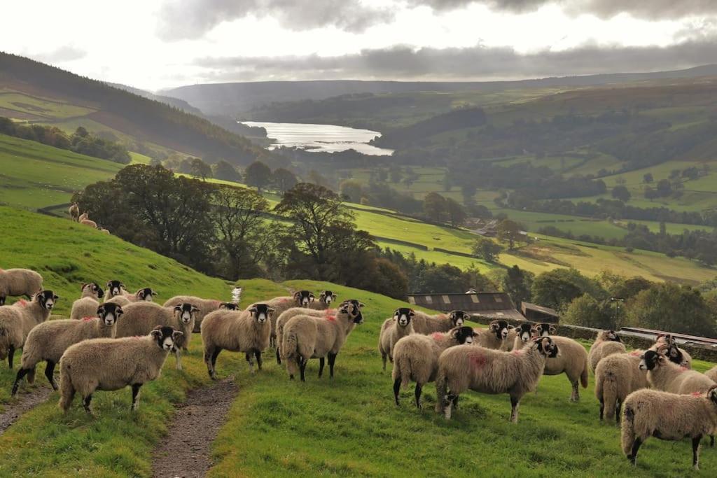 Wensleydale Halls Leyburn Esterno foto